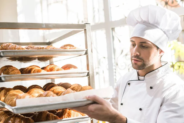Panadero en uniforme de chefs mirando bandejas con cruasanes recién cocinados - foto de stock