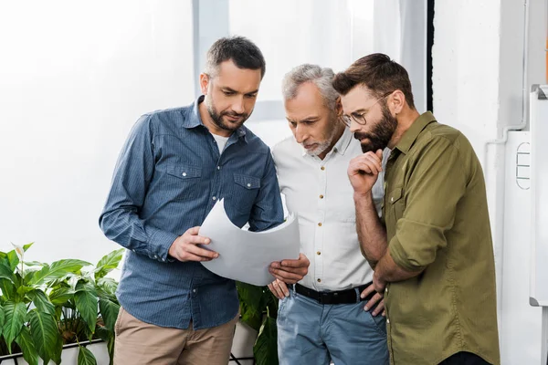 Three professional businessmen discussing papers in office — Stock Photo