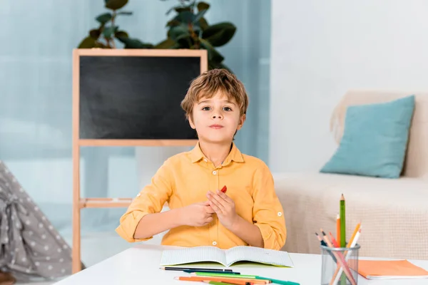 Adorable petit garçon étudiant à table et regardant la caméra — Photo de stock