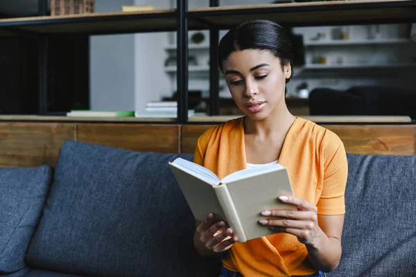 Schöne Mischlingshündin in orangefarbenem Hemd liest Buch auf Sofa im Wohnzimmer — Stockfoto