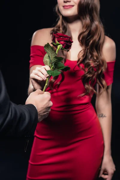 Обрізаний вид чоловіка, що представляє троянду жінці в червоній сукні ізольовано на чорному — стокове фото