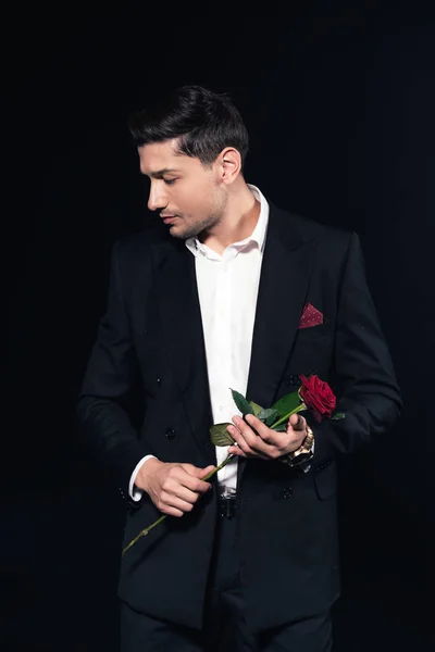 Hombre guapo en traje sosteniendo rosa roja y mirando hacia otro lado aislado en negro - foto de stock