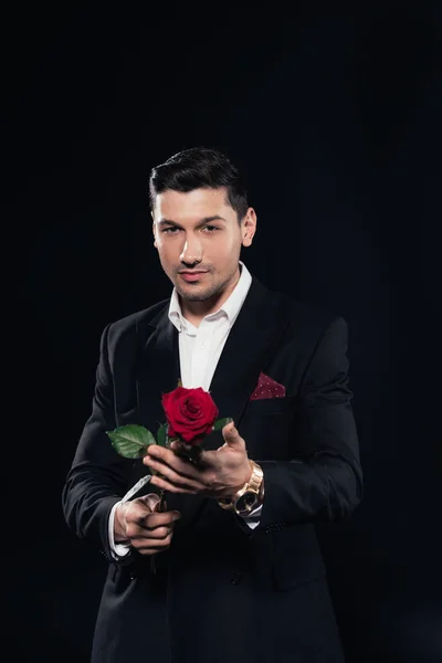 Hombre guapo en traje mirando a la cámara y sosteniendo rosa roja aislado en negro - foto de stock