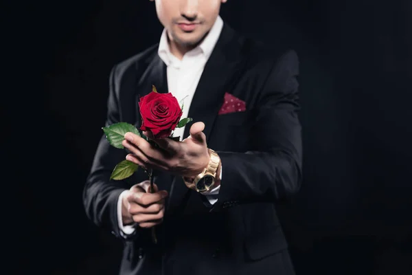 Cropped view of man in suit holding red rose isolated on black — Stock Photo