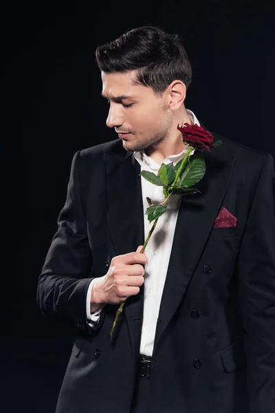 Чоловік у костюмі тримає червону троянду і дивиться ізольовано на чорному — стокове фото