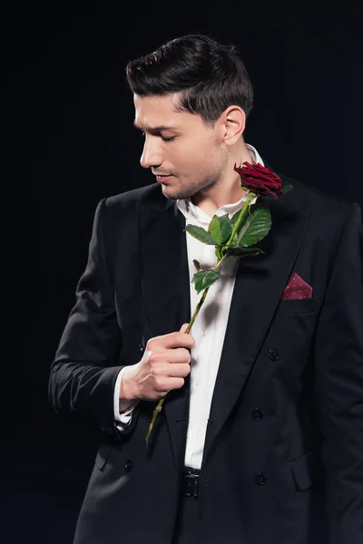 Hombre de traje sosteniendo rosa roja y mirando hacia otro lado aislado en negro — Stock Photo