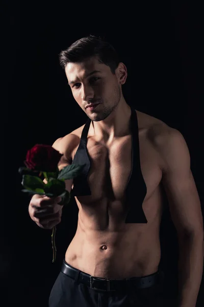 Shirtless man looking at camera and holding red rose isolated on black — Stock Photo