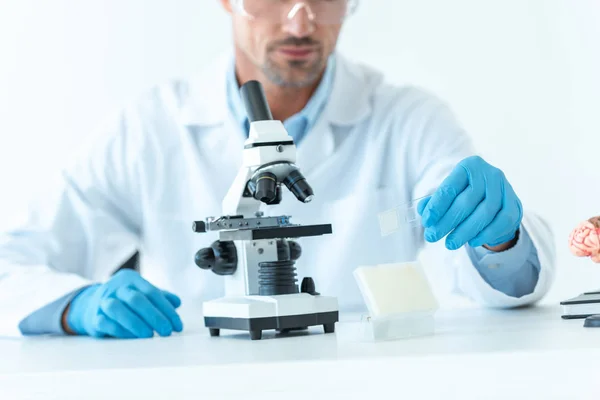 Imagen recortada del científico que se prepara para el experimento con microscopio aislado en blanco - foto de stock