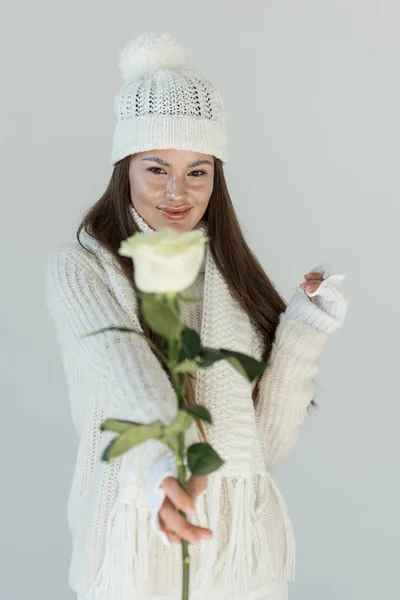 Donna attraente in maglione invernale alla moda e sciarpa mostrando rosa bianca isolata su bianco — Foto stock