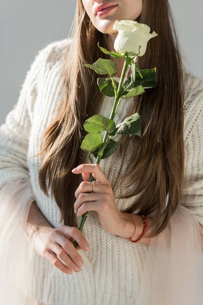 Imagen recortada de la mujer en traje de invierno elegante sosteniendo rosa blanca sobre blanco - foto de stock