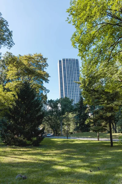 Scène urbaine avec des arbres dans le parc de la ville et des gratte-ciel à New York, Etats-Unis — Photo de stock