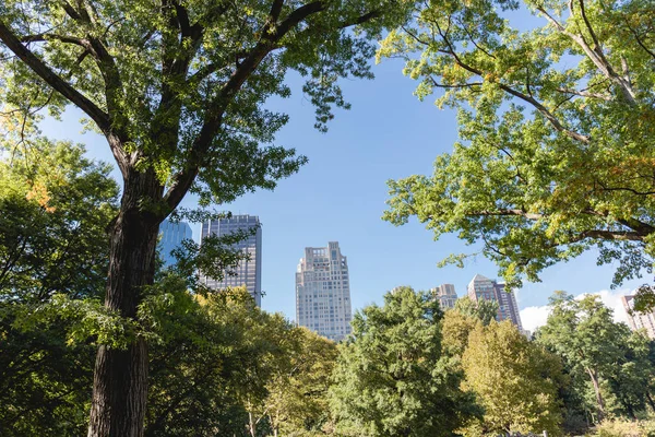 Urban scene with trees in city park and skyscrapers in new york, usa — Stock Photo