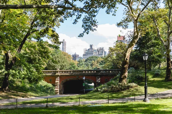 Edificios y parque de la ciudad en Nueva York, EE.UU. - foto de stock