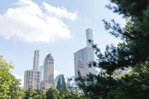 Urban scene with trees in city park and skyscrapers in new york, usa — Stock Photo