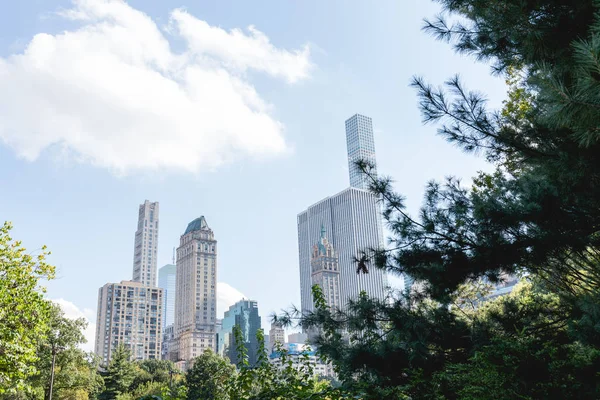 Escena urbana con árboles en el parque de la ciudad y rascacielos en Nueva York, EE.UU. - foto de stock