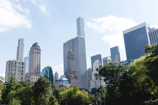 Escena urbana con árboles en el parque de la ciudad y rascacielos en Nueva York, EE.UU. - foto de stock