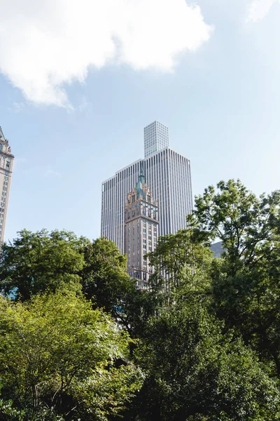 Urbane Szene mit grünen Bäumen und Stadtarchitektur von New York, USA — Stockfoto