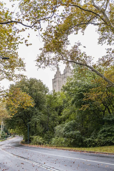 Vista panorâmica do parque da cidade com árvores verdes em Nova York, EUA — Fotografia de Stock