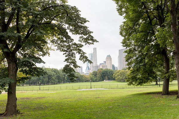 Scène urbaine avec des arbres dans le parc de la ville et des gratte-ciel à New York, Etats-Unis — Photo de stock