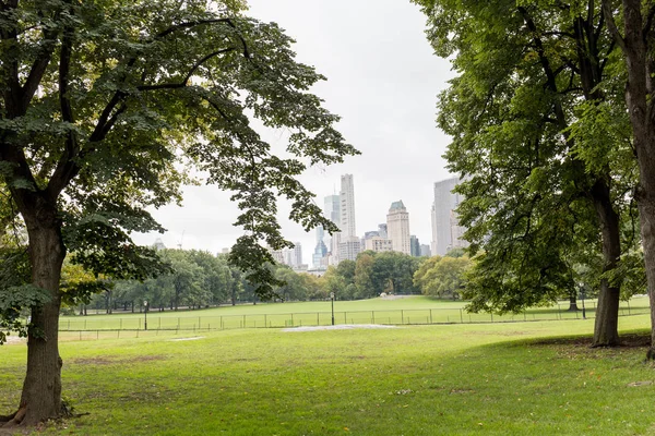 Stadtbild mit Bäumen im Stadtpark und Wolkenkratzern in New York, USA — Stockfoto