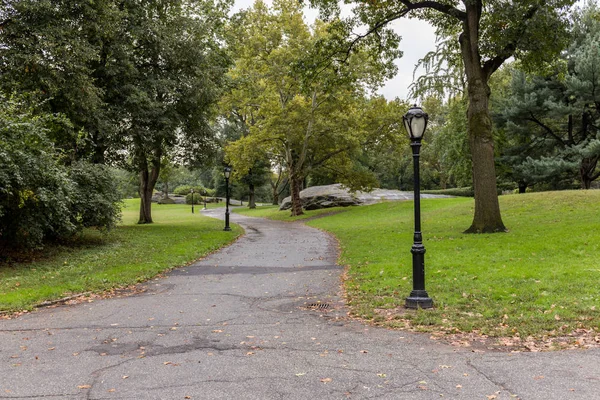 Vista panorámica del parque de la ciudad con árboles verdes en Nueva York, EE.UU. - foto de stock