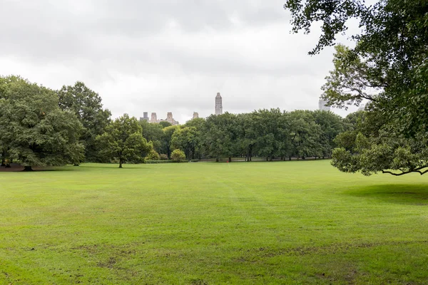 Vista panorámica de árboles verdes y hierba en el parque de la ciudad en Nueva York, EE.UU. - foto de stock