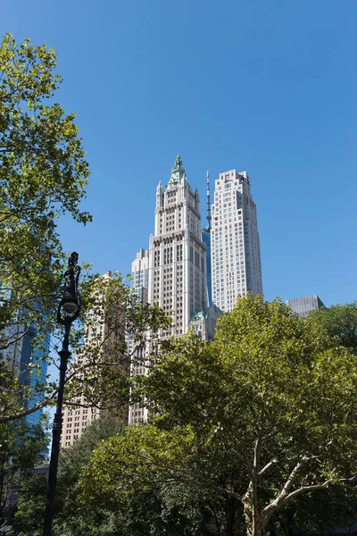 Scena urbana con alberi nel parco cittadino e grattacieli a New York, Stati Uniti — Foto stock