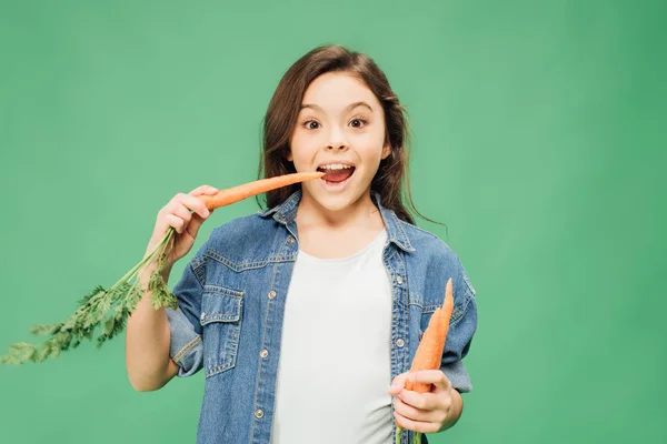 Child eating carrots and looking at camera isolated on green — Stock Photo