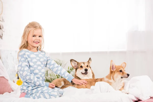 Adorable kid in pajamas petting corgi dogs in bed — Stock Photo