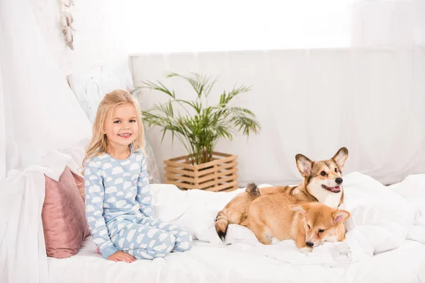 Adorable happy child in pajamas sitting with corgi dogs in bed — Stock Photo