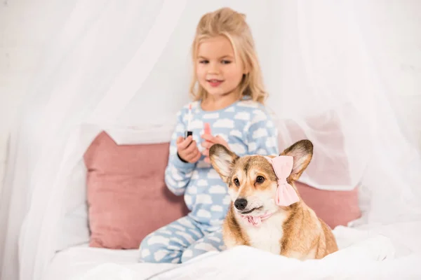 Adorable kid with lip gloss looking at corgi dog with pink bow — Stock Photo