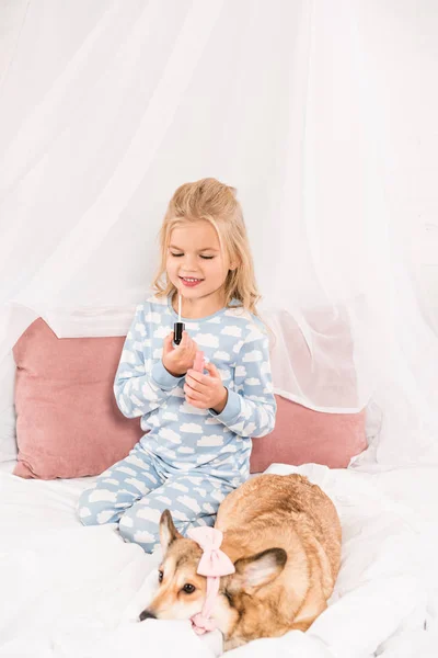 Lindo niño mirando brillo de labios mientras perro corgi con accesorios de color rosa acostado en la cama - foto de stock