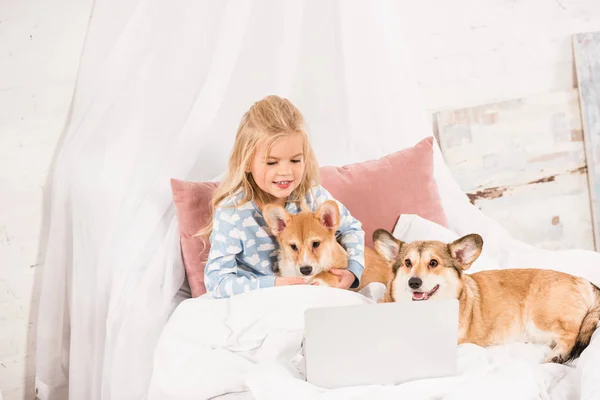 Entzückendes Kind, das mit Corgi-Hunden im Bett liegt und zu Hause Laptop benutzt — Stockfoto