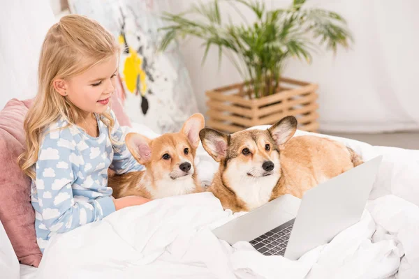 Adorável criança deitada na cama com cães corgi e usando laptop em casa — Fotografia de Stock