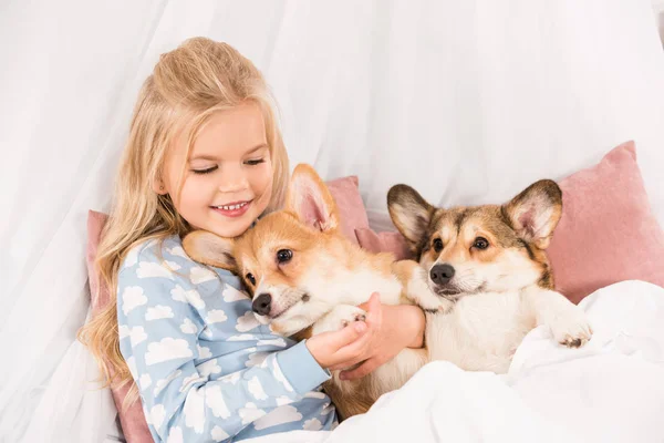 Adorable child lying in bed and hugging pembroke welsh corgi dogs at home — Stock Photo