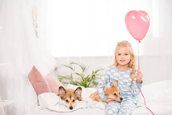 Criança sorrindo sentado na cama com cães pembroke galês corgi em casa e segurando balão em forma de coração — Fotografia de Stock