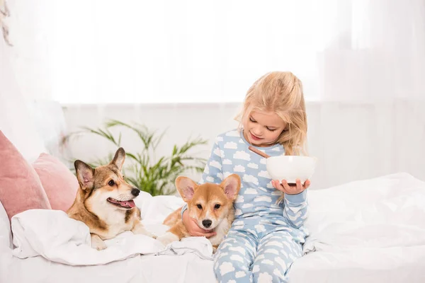 Entzückendes Kind, das mit pembroke walisischen Corgi-Hunden auf dem Bett sitzt und zu Hause eine Schüssel Müsli in der Hand hält — Stockfoto