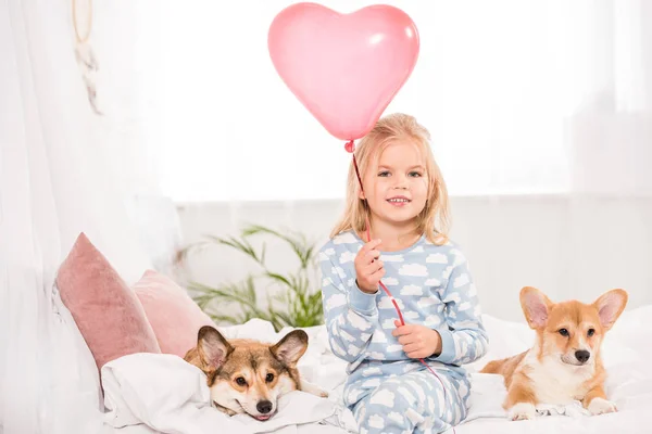 Entzückendes Kind, das zu Hause mit pembroke walisischen Corgi-Hunden auf dem Bett sitzt und herzförmige Ballons hält — Stockfoto