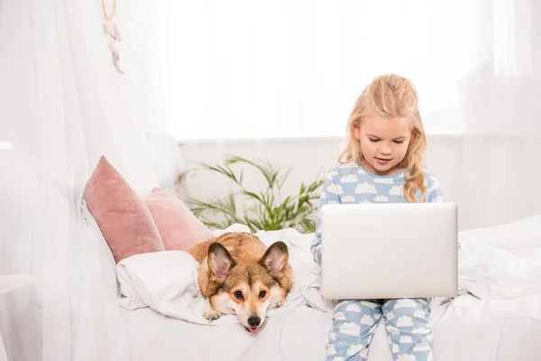 Милий дитина сидить на ліжку з корги собаки і використання ноутбука на дому — стокове фото