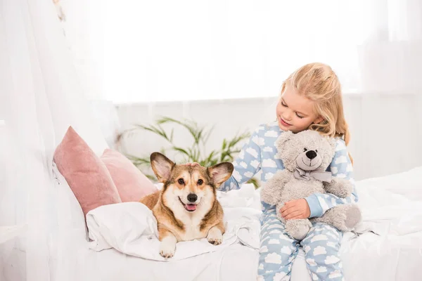 Cute child sitting on bed with pembroke welsh corgi dog and teddy bear at home — Stock Photo