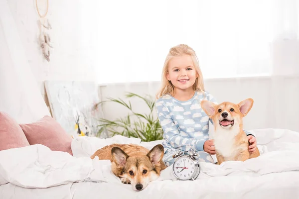 Smiling child sitting on bed with pembroke welsh corgi dogs and alarm clock while looking at camera — Stock Photo