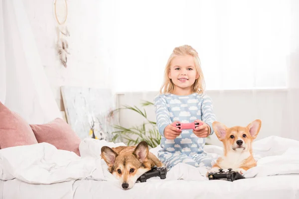 Entzückendes Kind, das mit pembroke walisischen Corgi-Hunden im Bett sitzt, den Steuerknüppel in der Hand hält und zu Hause Videospiele spielt — Stockfoto