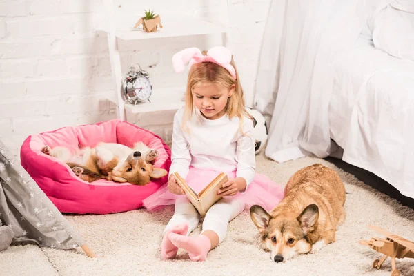 Adorable child in bunny ears headband sitting with welsh corgi dogs at home and reading book — Stock Photo