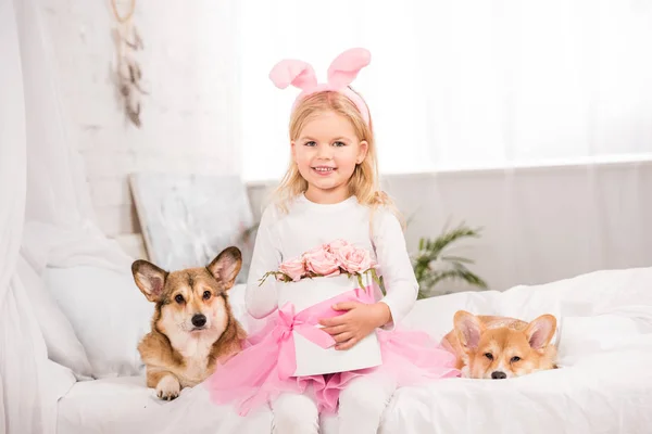 Bonito criança no coelho orelhas headband sentado com galês corgi cães e segurando rosa rosas na cama em casa — Fotografia de Stock