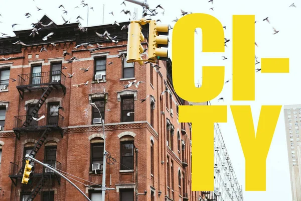 Cena urbana com pássaros voando sobre edifícios na cidade de Nova Iorque com letras amarelas de 