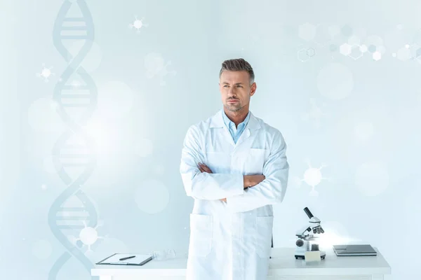 Bello scienziato in piedi con le braccia incrociate vicino tavolo su bianco con il DNA — Foto stock