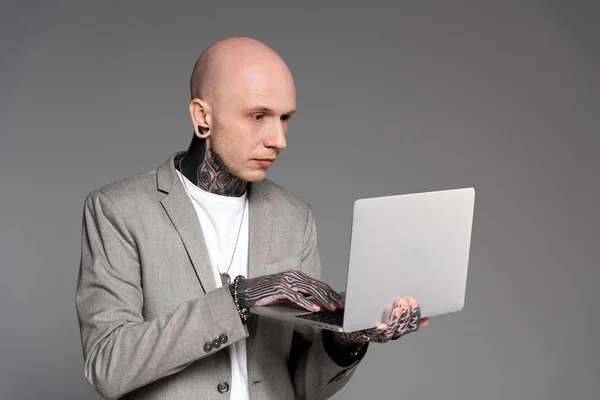 Focused bald tattooed man using laptop isolated on grey — Stock Photo