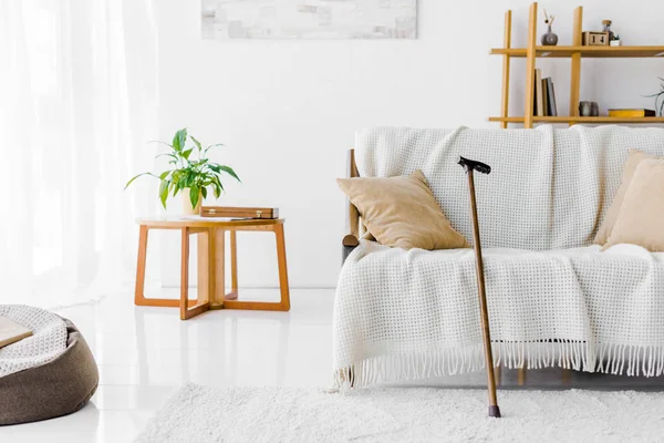 Modernes Wohnzimmer mit Sofa, Couchtisch und Gehstock — Stockfoto