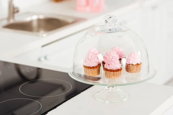 Foyer sélectif de support en verre avec cupcakes roses et dôme près cuisinière à induction dans la cuisine — Photo de stock