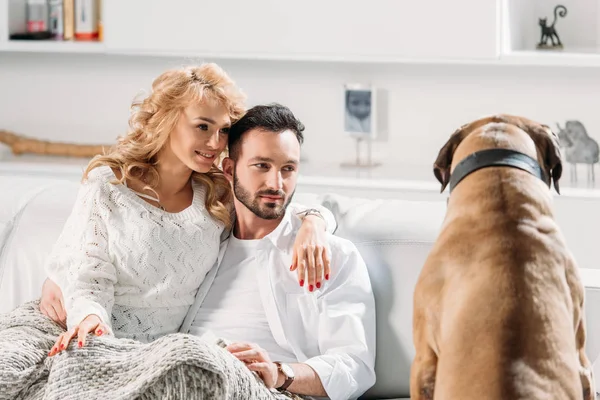 Romantisches Paar umarmt sich auf dem Sofa und schaut Hund an — Stockfoto